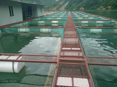 海水养殖网 - 安平县方海金属网制造有限公司图片4